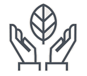 ico-open-green-ok.png